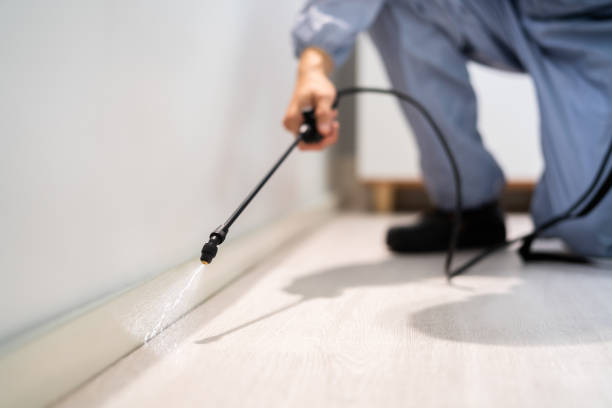 Licensed Pest Control service in Fredericksburg, IA - Show Me Pest Control