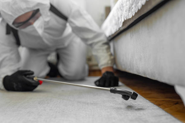 Professional Ant Control technician working in Fredericksburg, IA